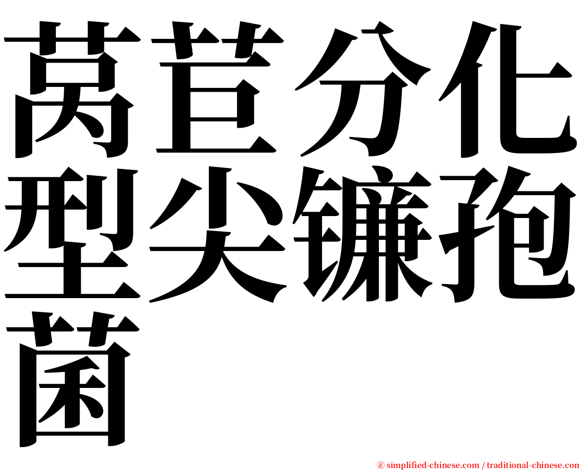 莴苣分化型尖镰孢菌 serif font