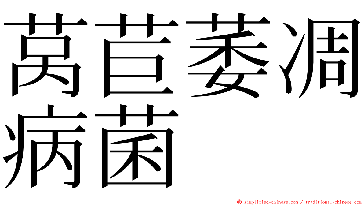 莴苣萎凋病菌 ming font