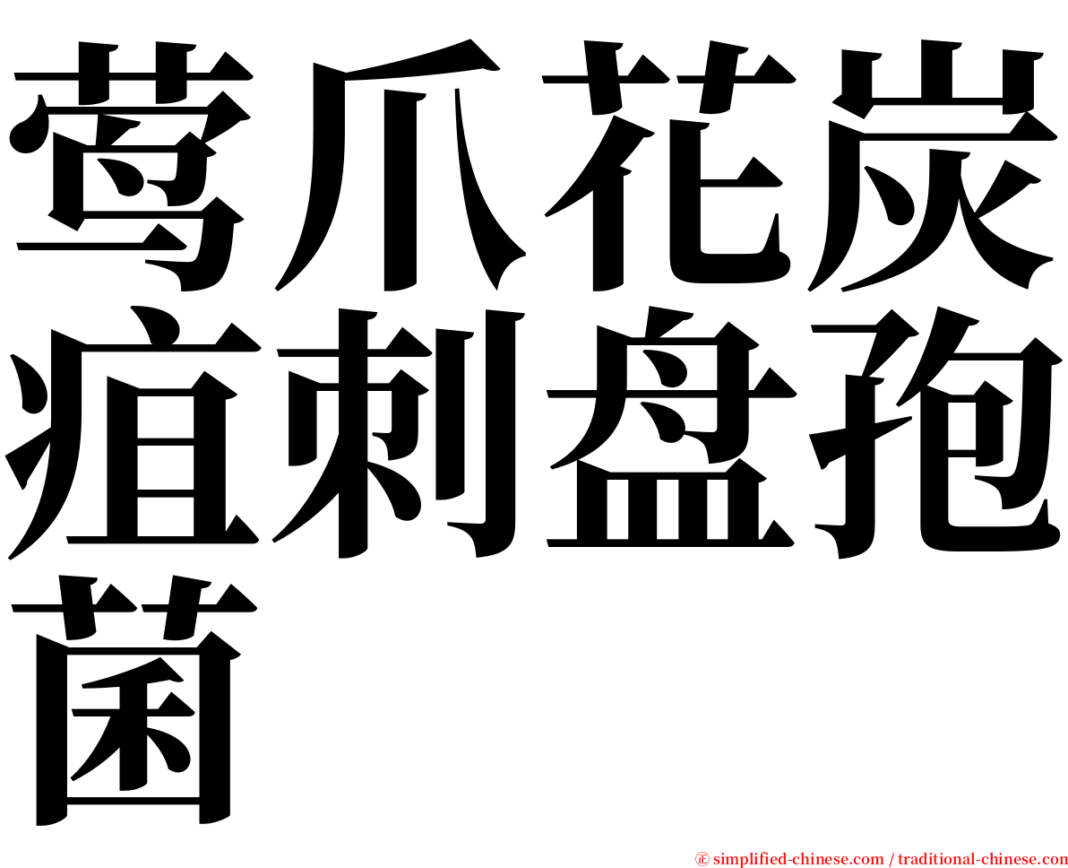 莺爪花炭疽刺盘孢菌 serif font