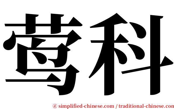 莺科 serif font