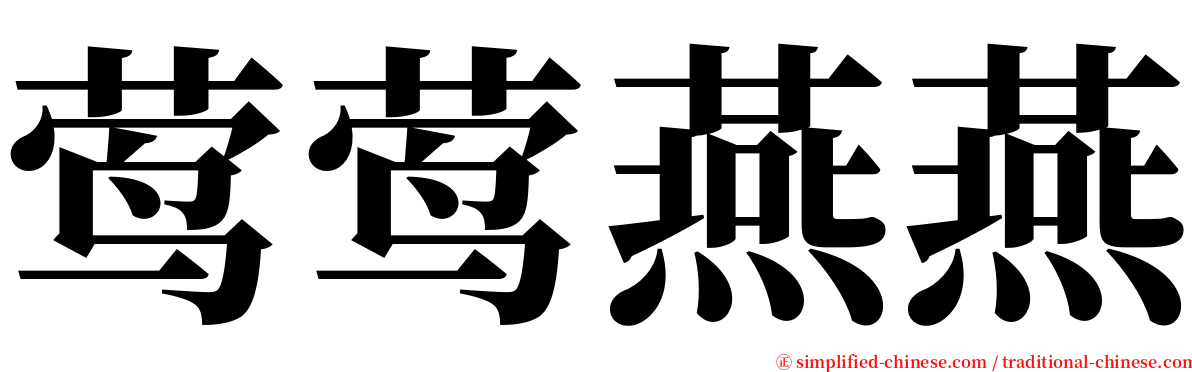 莺莺燕燕 serif font