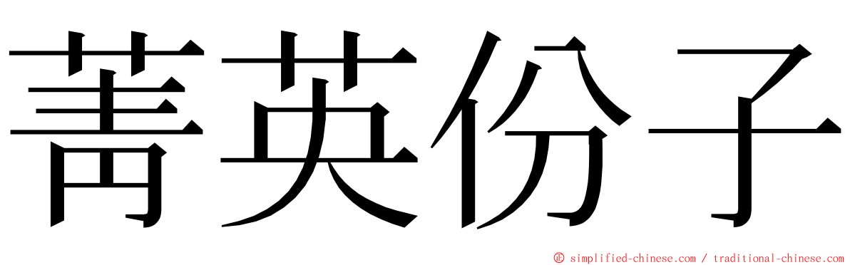 菁英份子 ming font