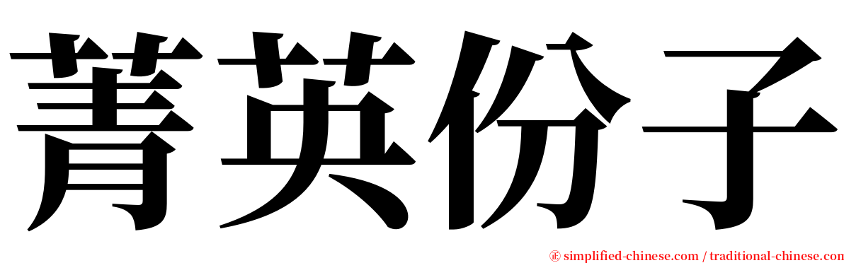 菁英份子 serif font