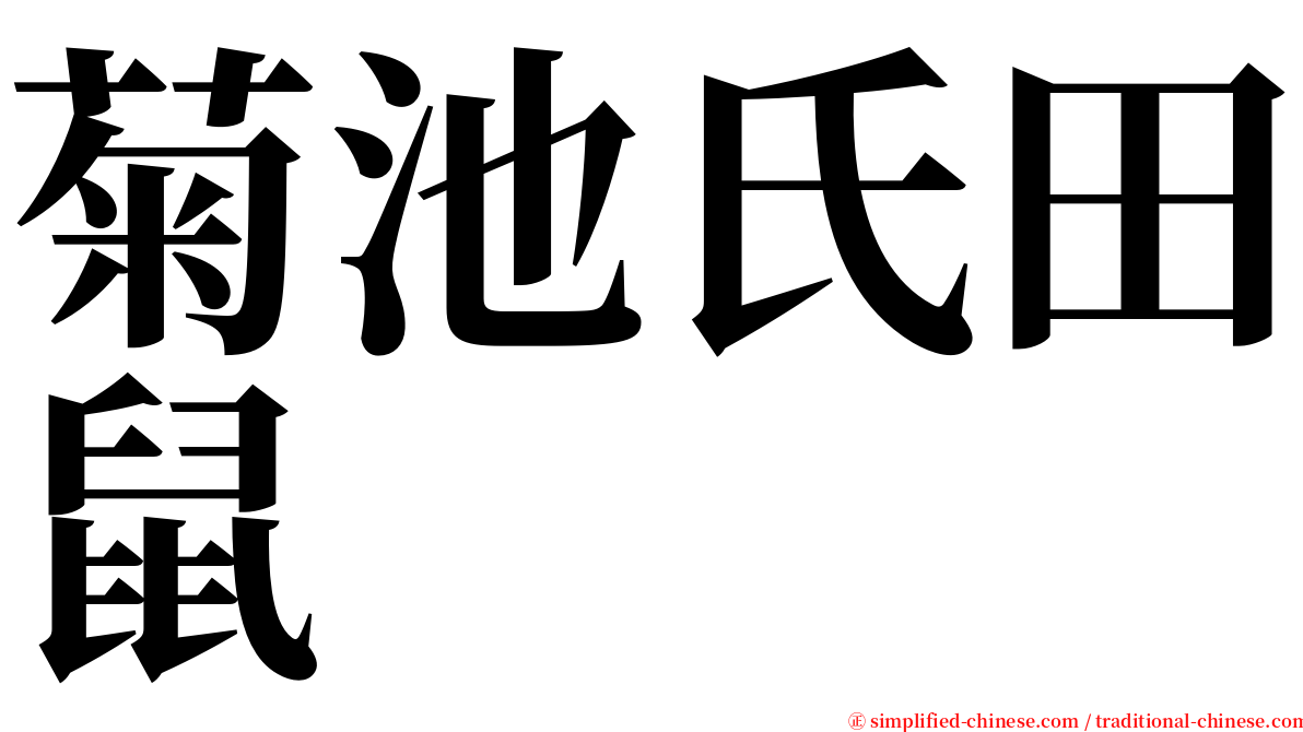 菊池氏田鼠 serif font