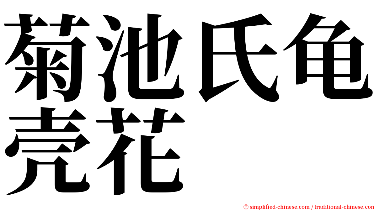 菊池氏龟壳花 serif font