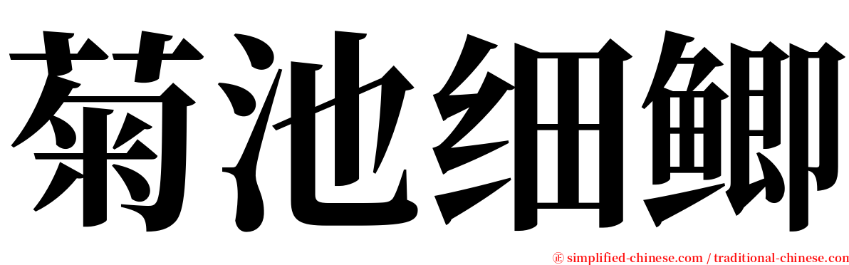 菊池细鲫 serif font