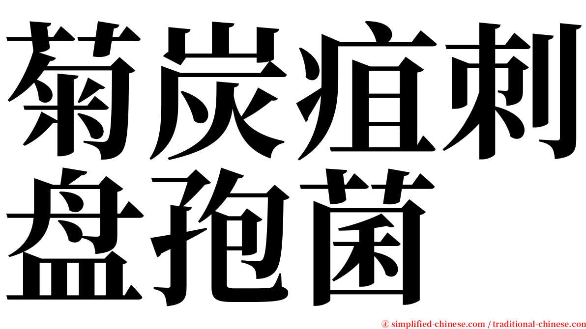 菊炭疽刺盘孢菌 serif font