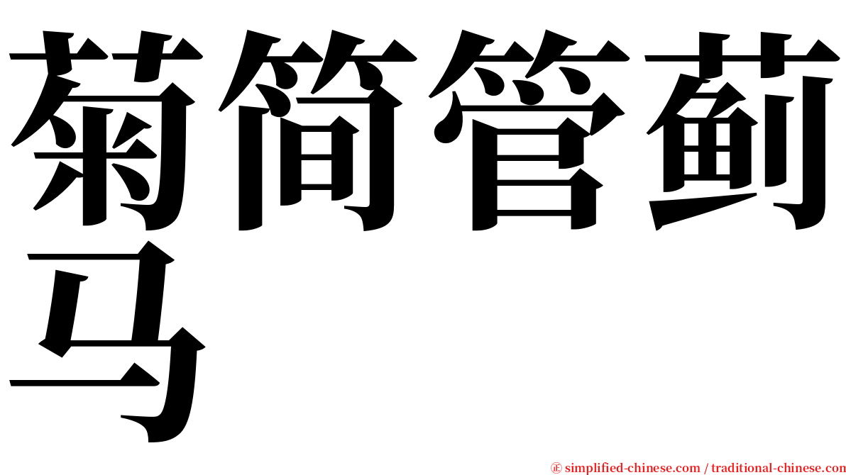 菊简管蓟马 serif font