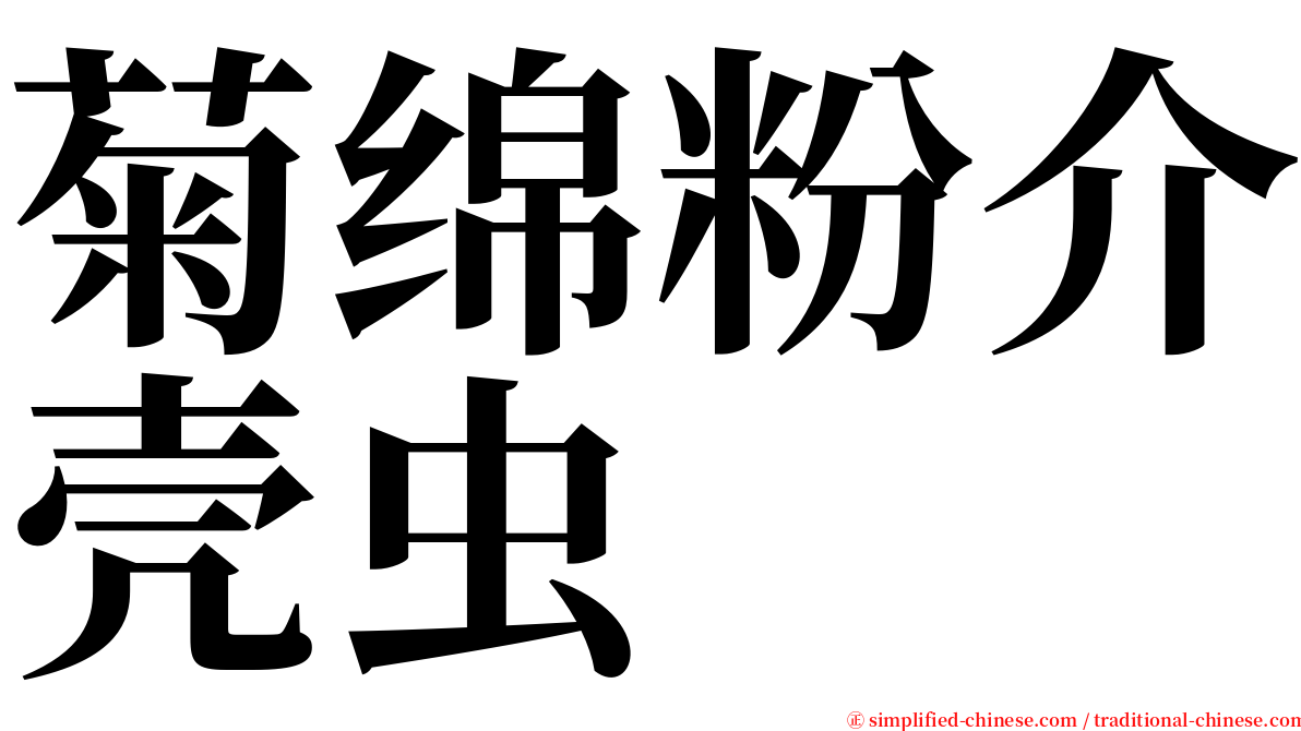 菊绵粉介壳虫 serif font