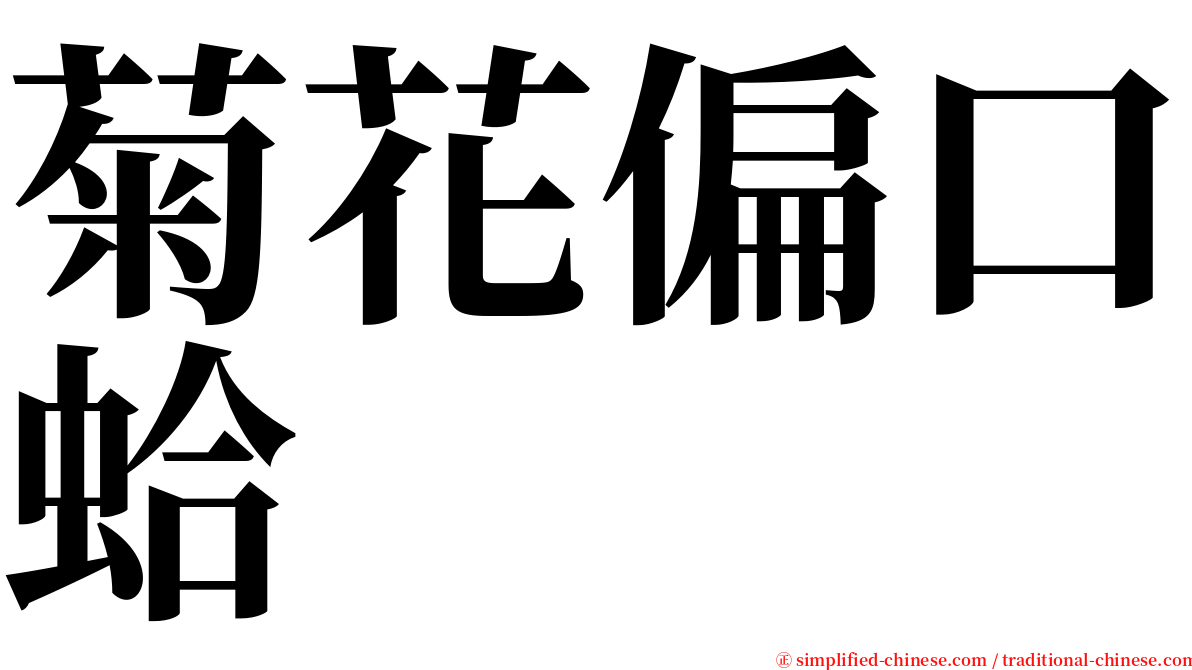 菊花偏口蛤 serif font