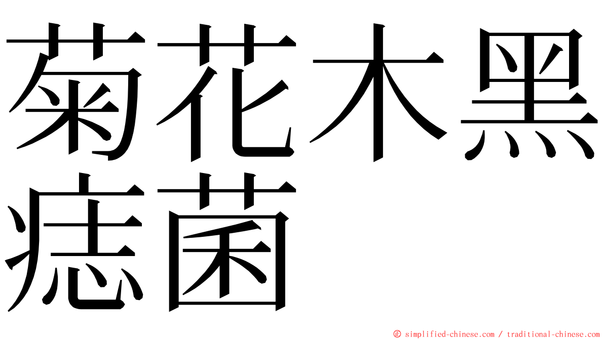 菊花木黑痣菌 ming font