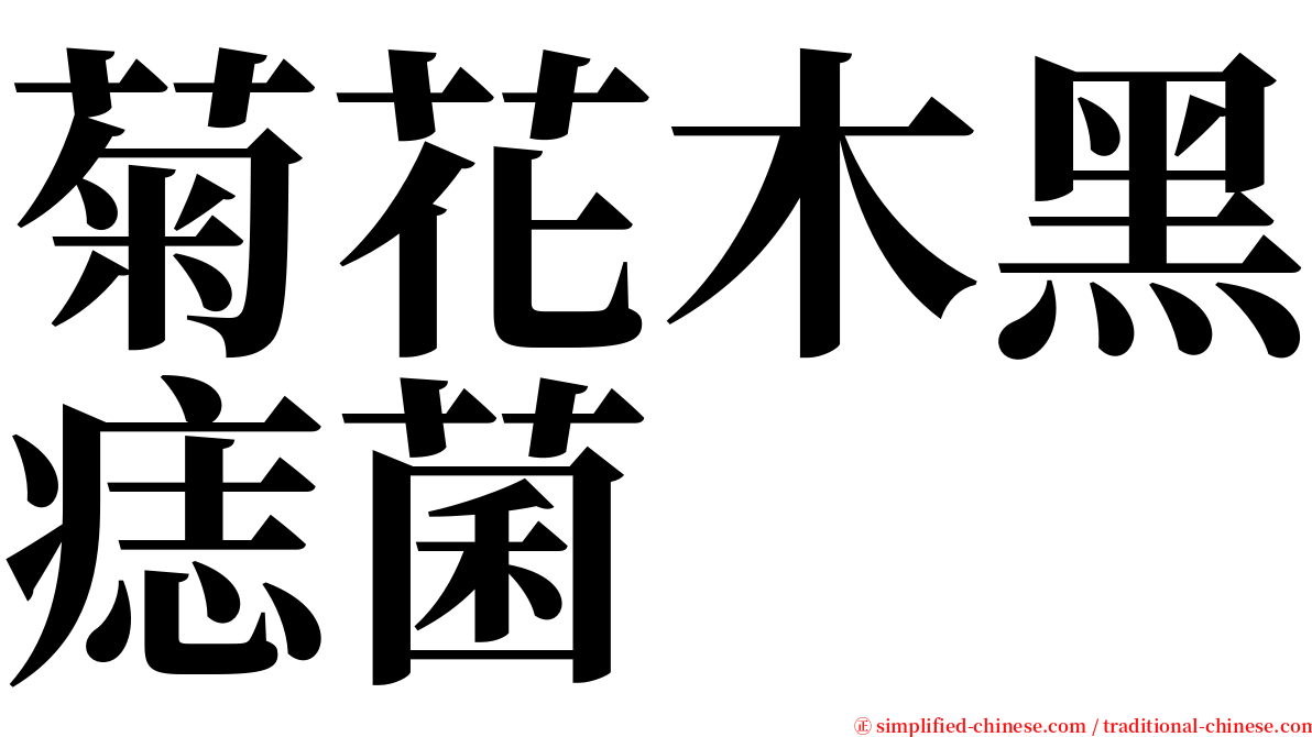 菊花木黑痣菌 serif font