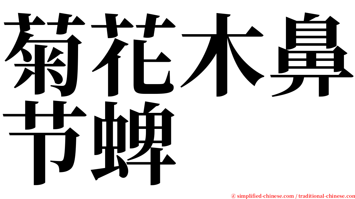 菊花木鼻节蜱 serif font