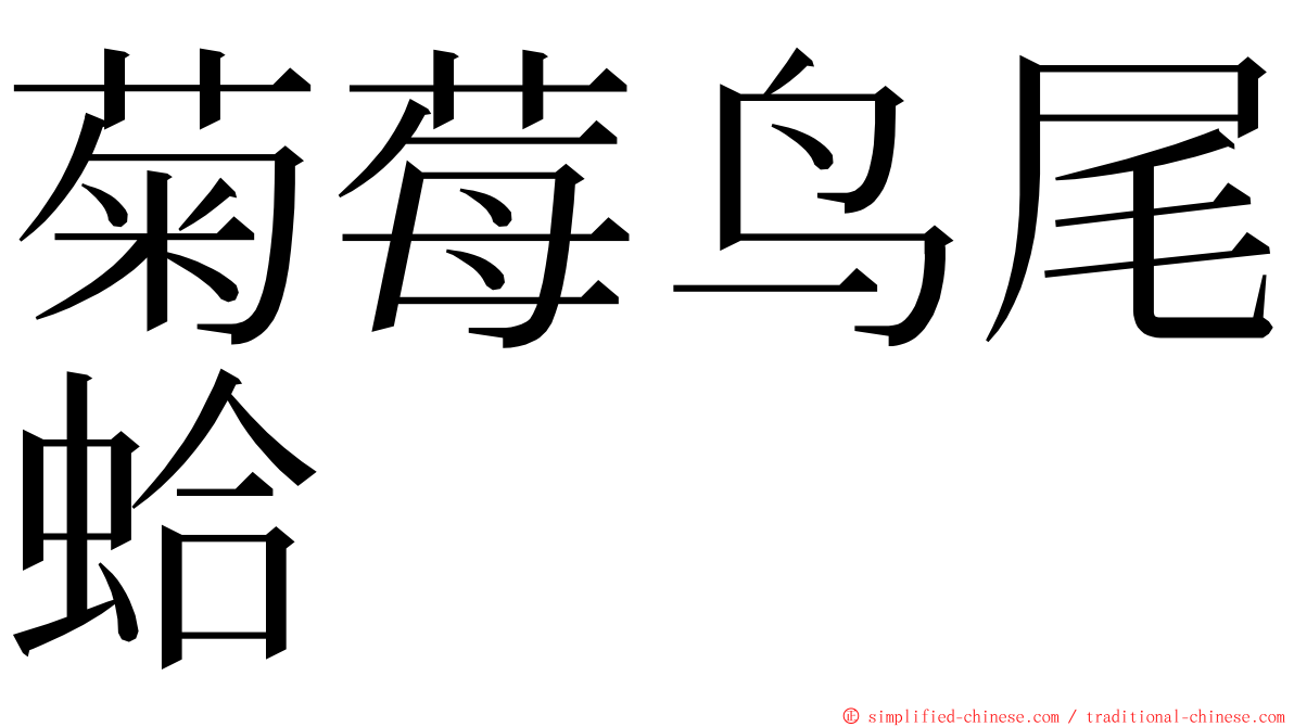 菊莓鸟尾蛤 ming font