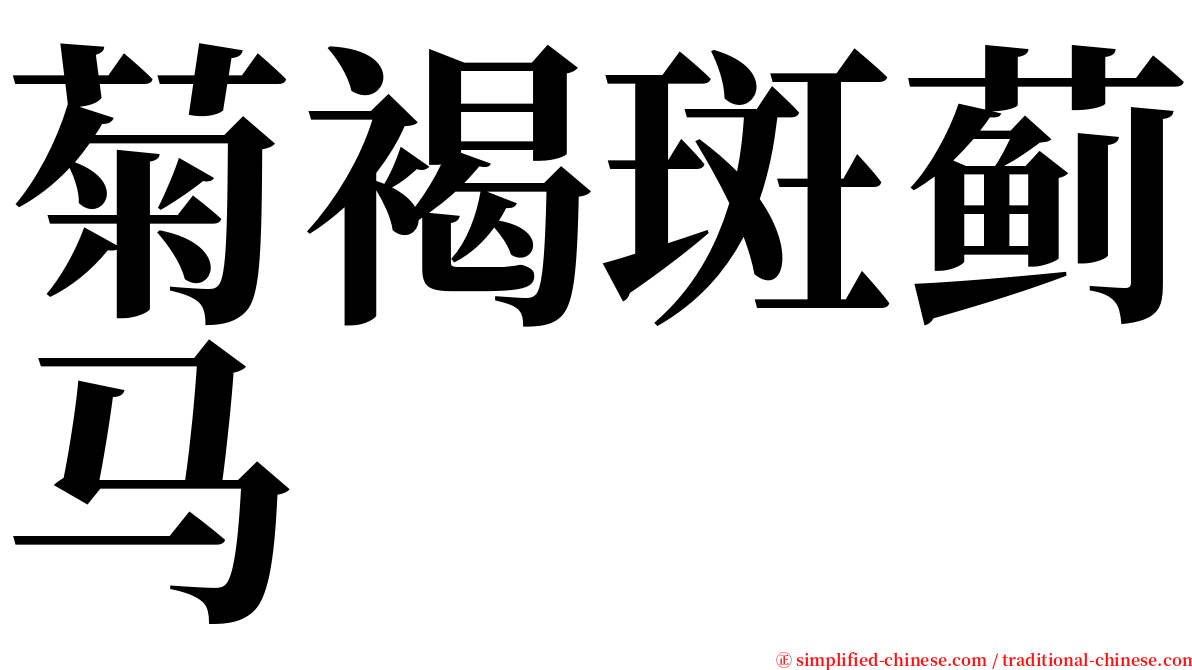 菊褐斑蓟马 serif font