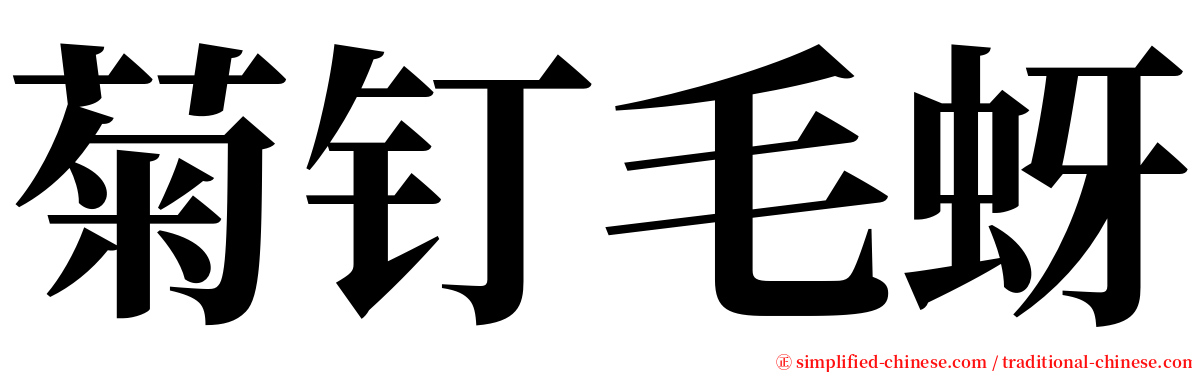 菊钉毛蚜 serif font