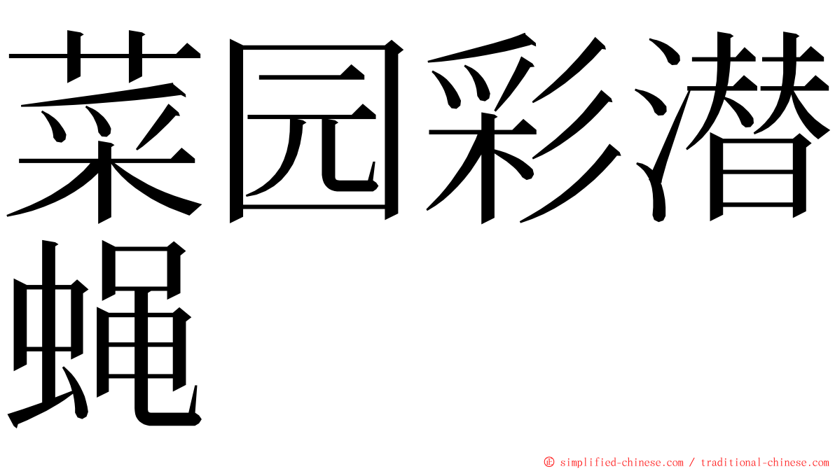 菜园彩潜蝇 ming font