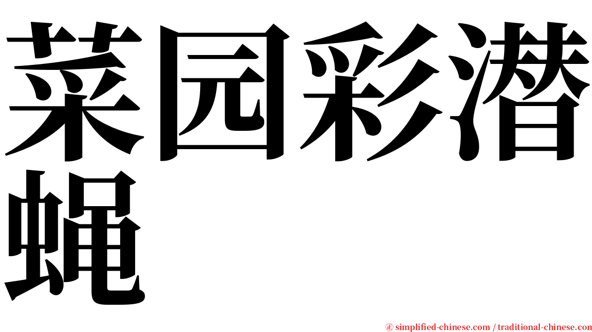 菜园彩潜蝇 serif font