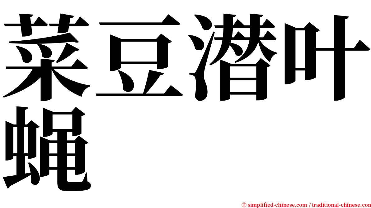 菜豆潜叶蝇 serif font