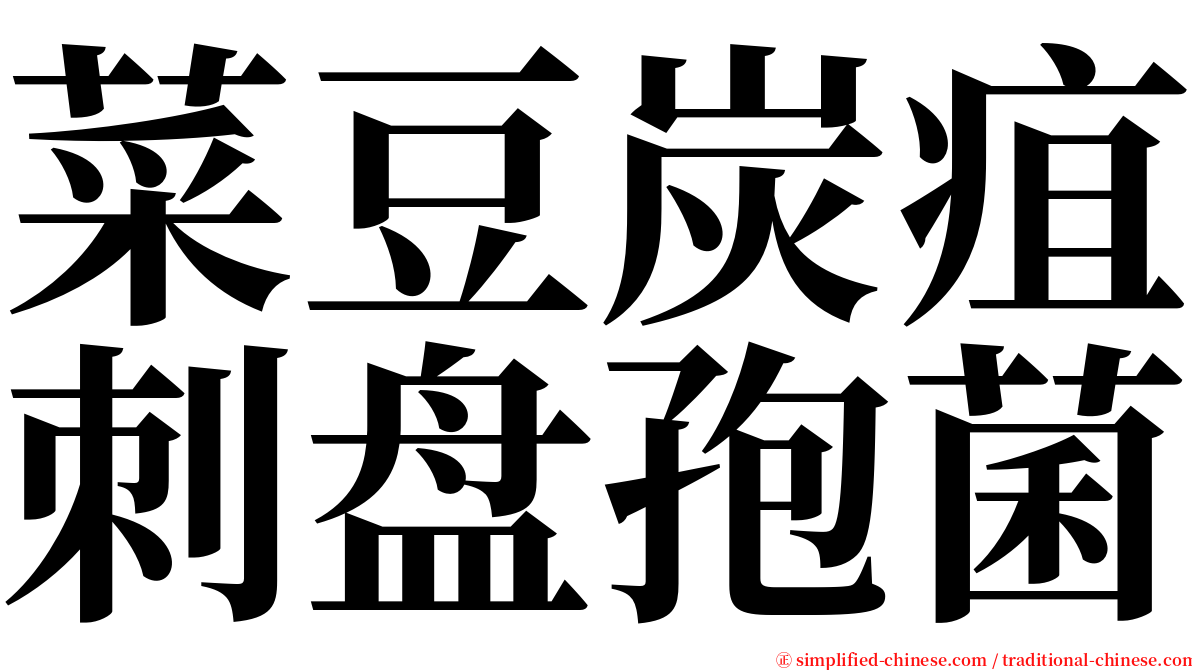 菜豆炭疽刺盘孢菌 serif font