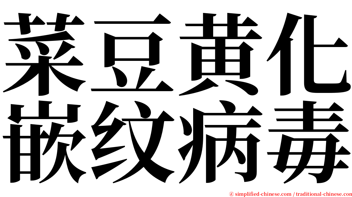 菜豆黄化嵌纹病毒 serif font