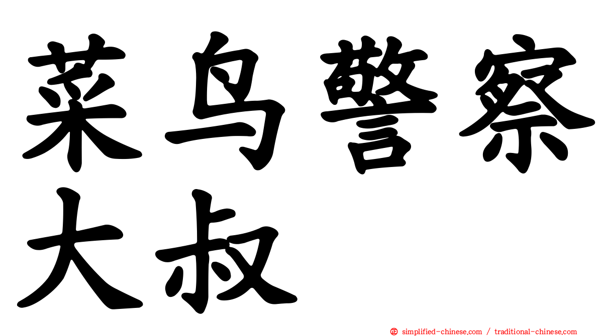 菜鸟警察大叔