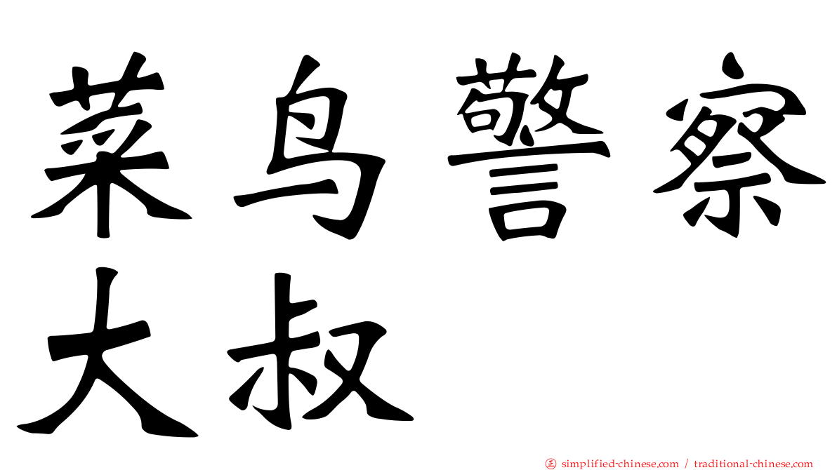 菜鸟警察大叔
