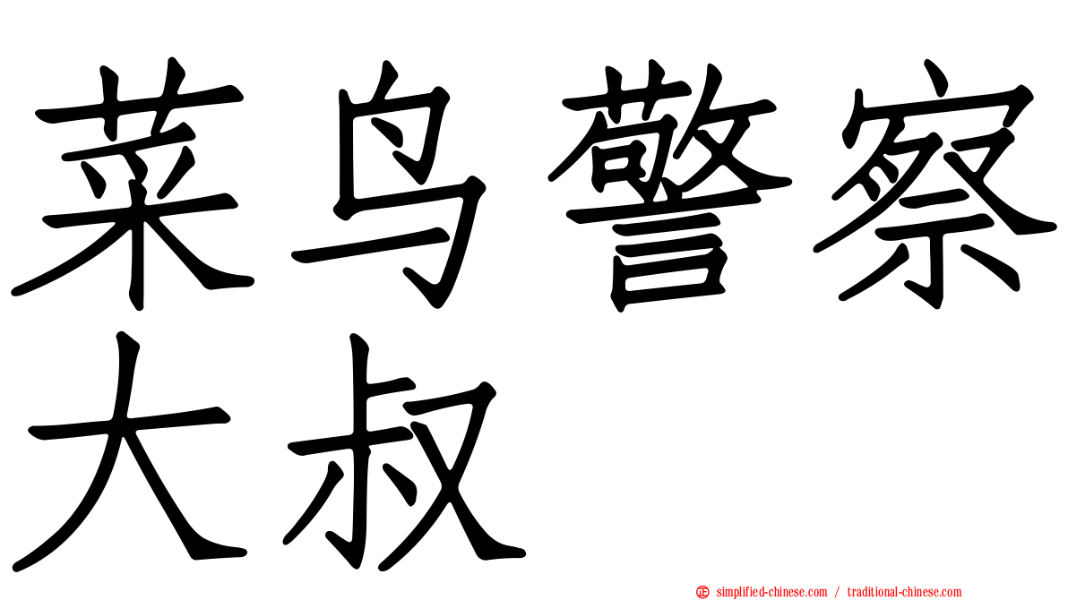 菜鸟警察大叔