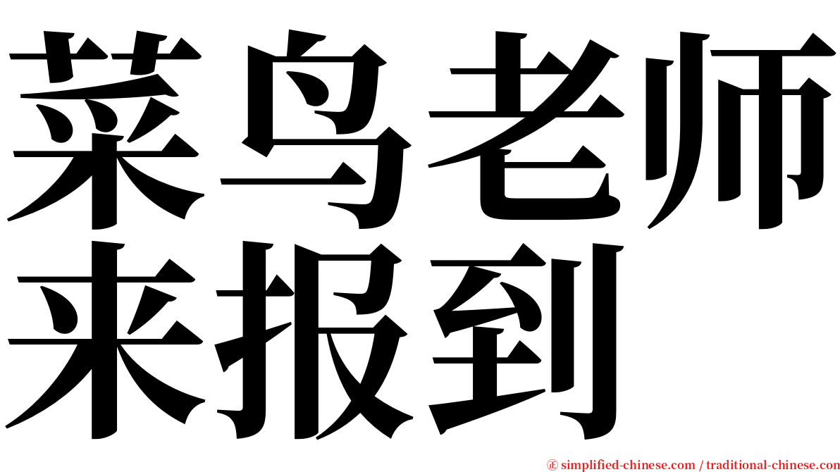 菜鸟老师来报到 serif font