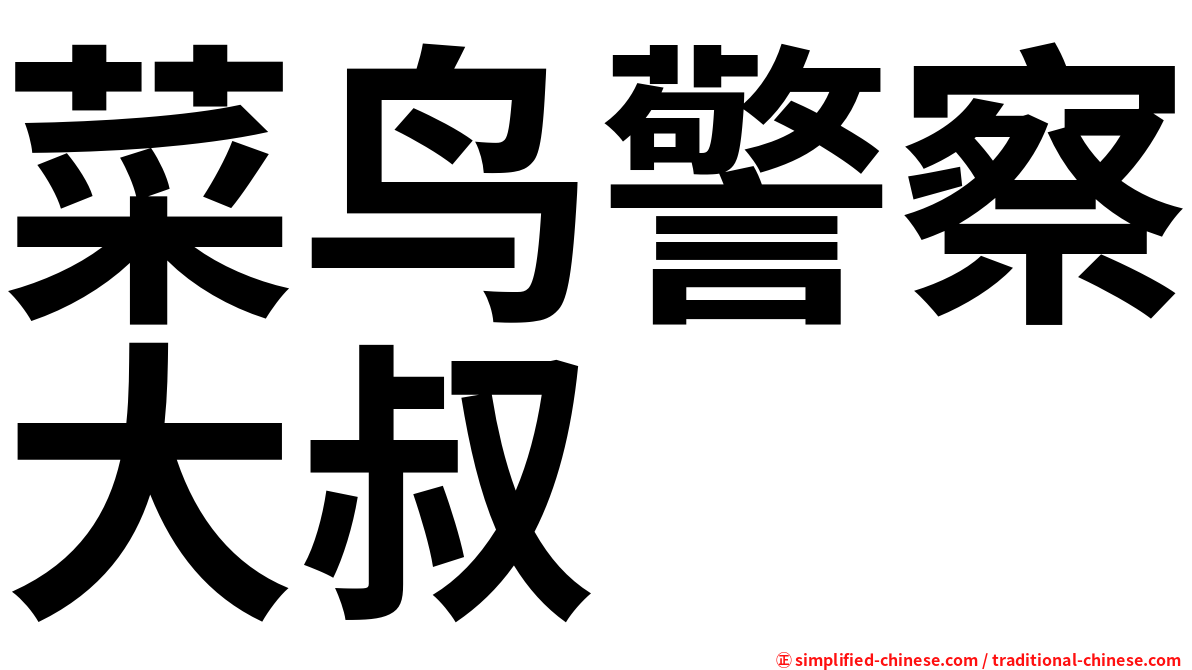 菜鸟警察大叔