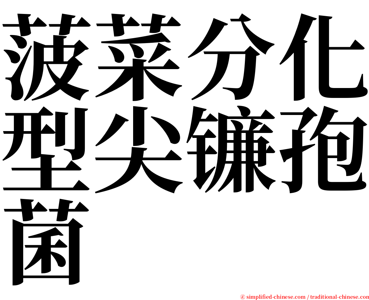 菠菜分化型尖镰孢菌 serif font