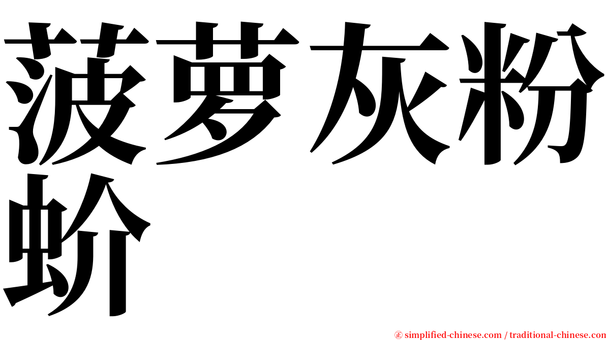 菠萝灰粉蚧 serif font