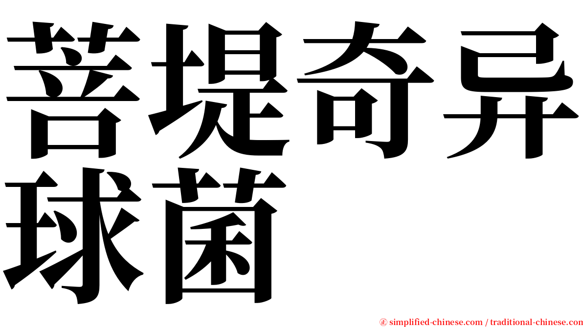 菩堤奇异球菌 serif font