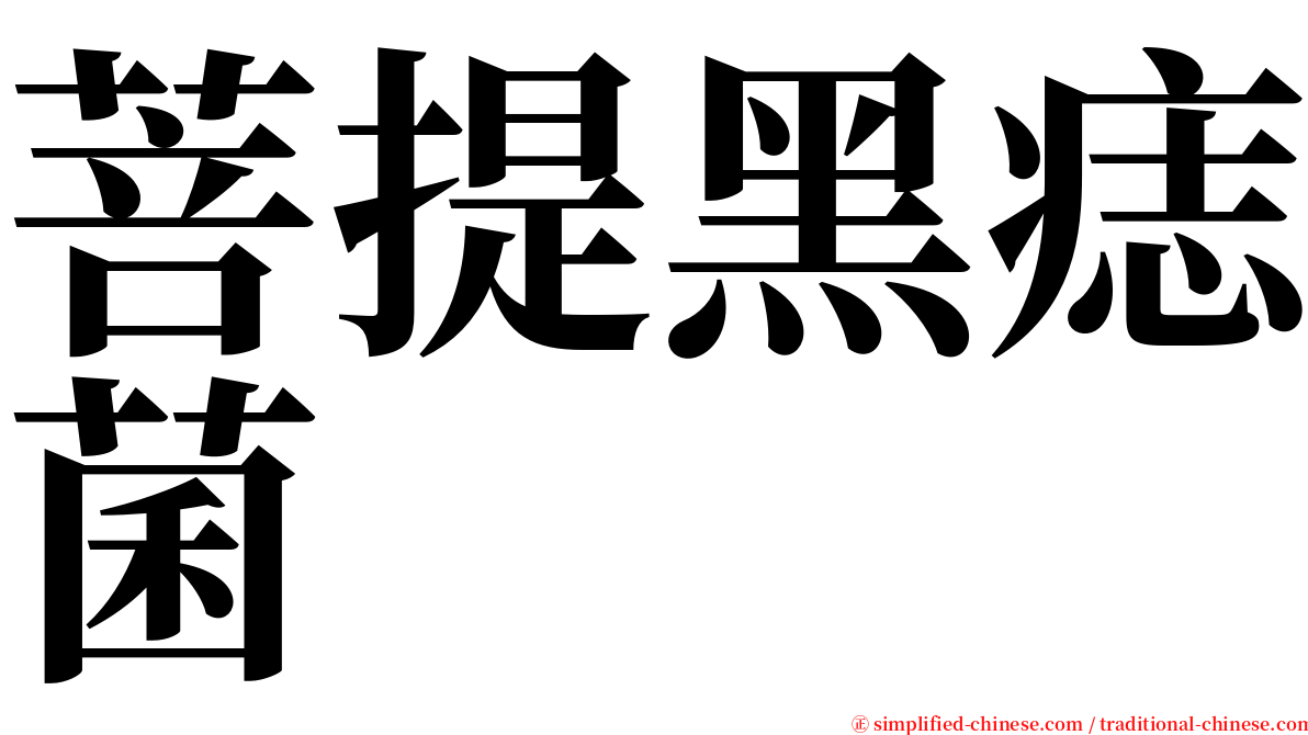 菩提黑痣菌 serif font