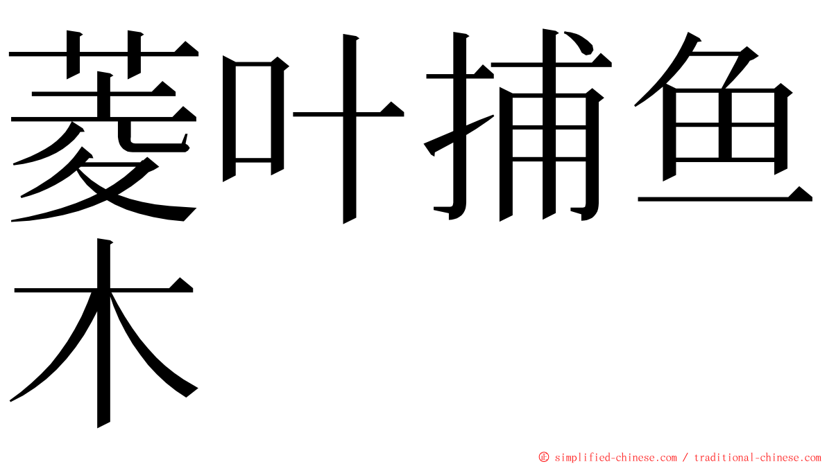 菱叶捕鱼木 ming font