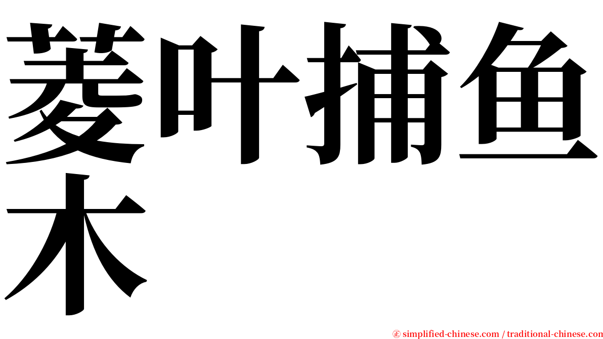 菱叶捕鱼木 serif font