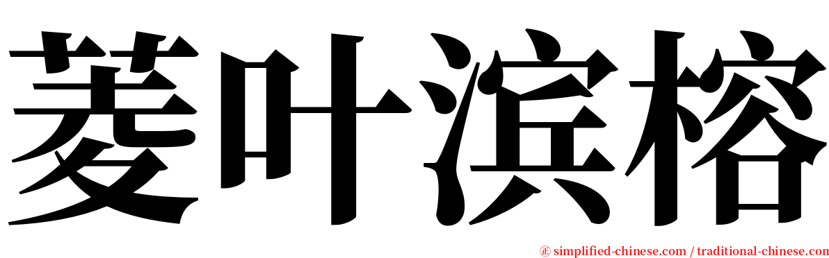 菱叶滨榕 serif font