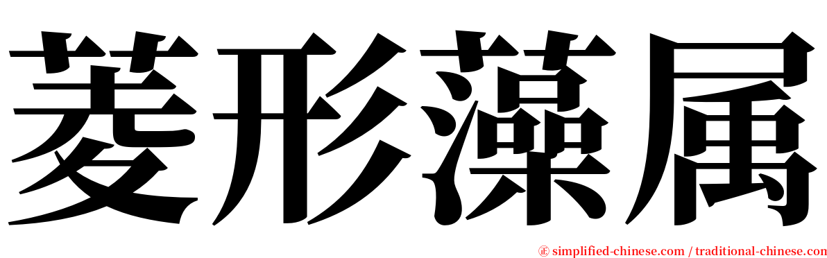 菱形藻属 serif font