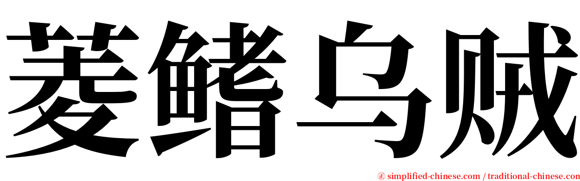 菱鳍乌贼 serif font