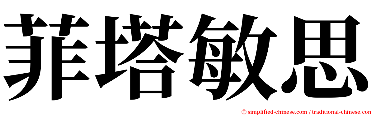 菲塔敏思 serif font