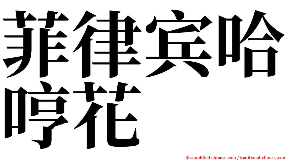 菲律宾哈哼花 serif font