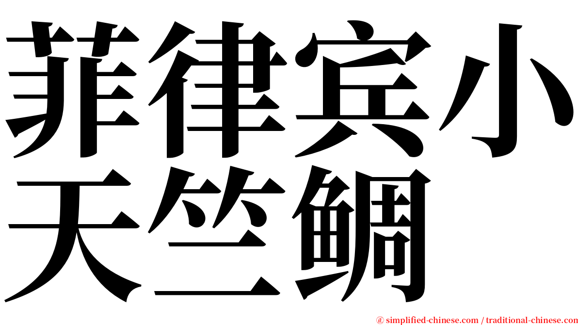 菲律宾小天竺鲷 serif font