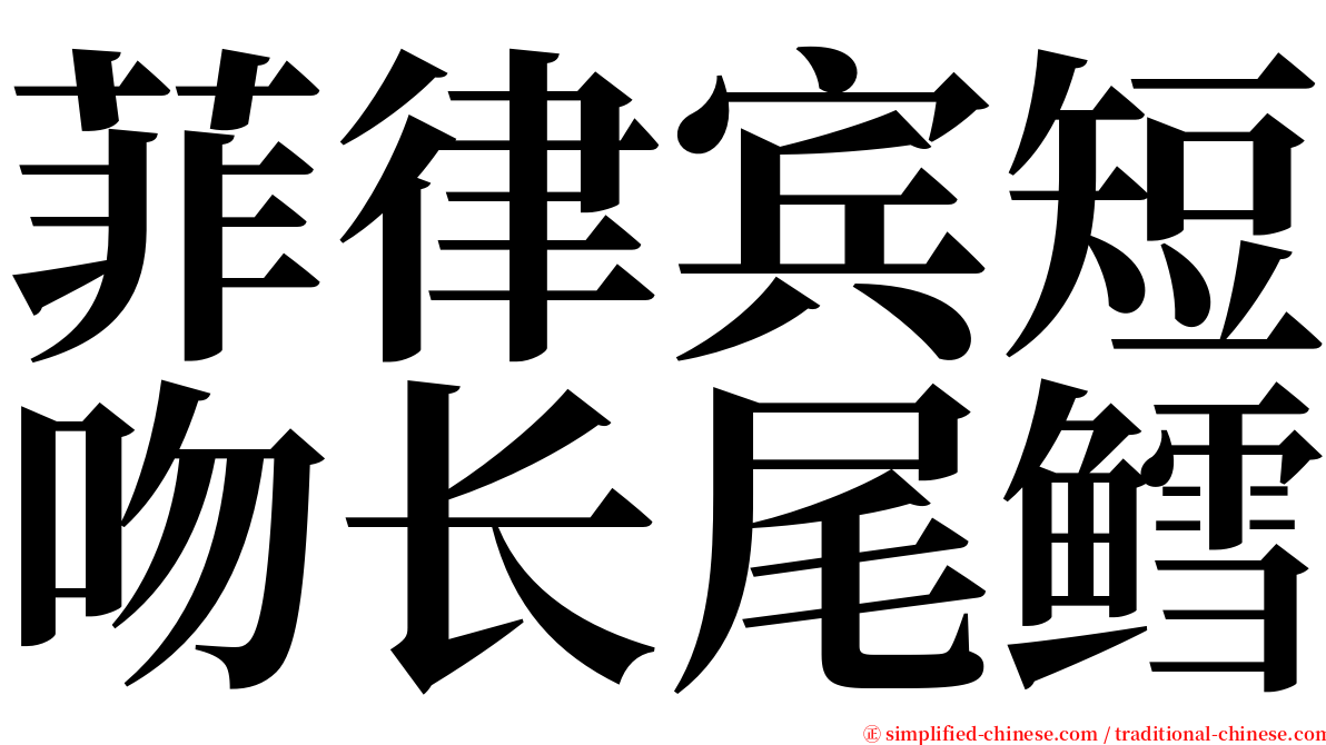 菲律宾短吻长尾鳕 serif font