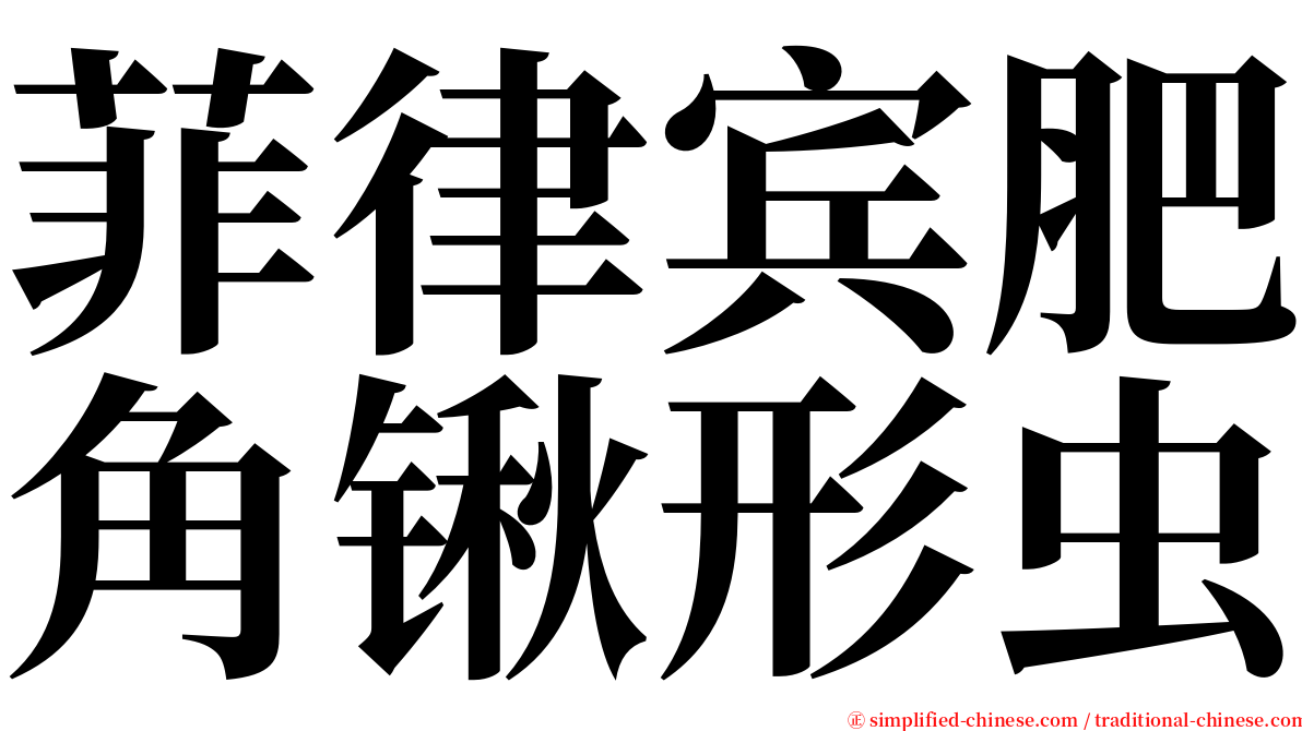 菲律宾肥角锹形虫 serif font