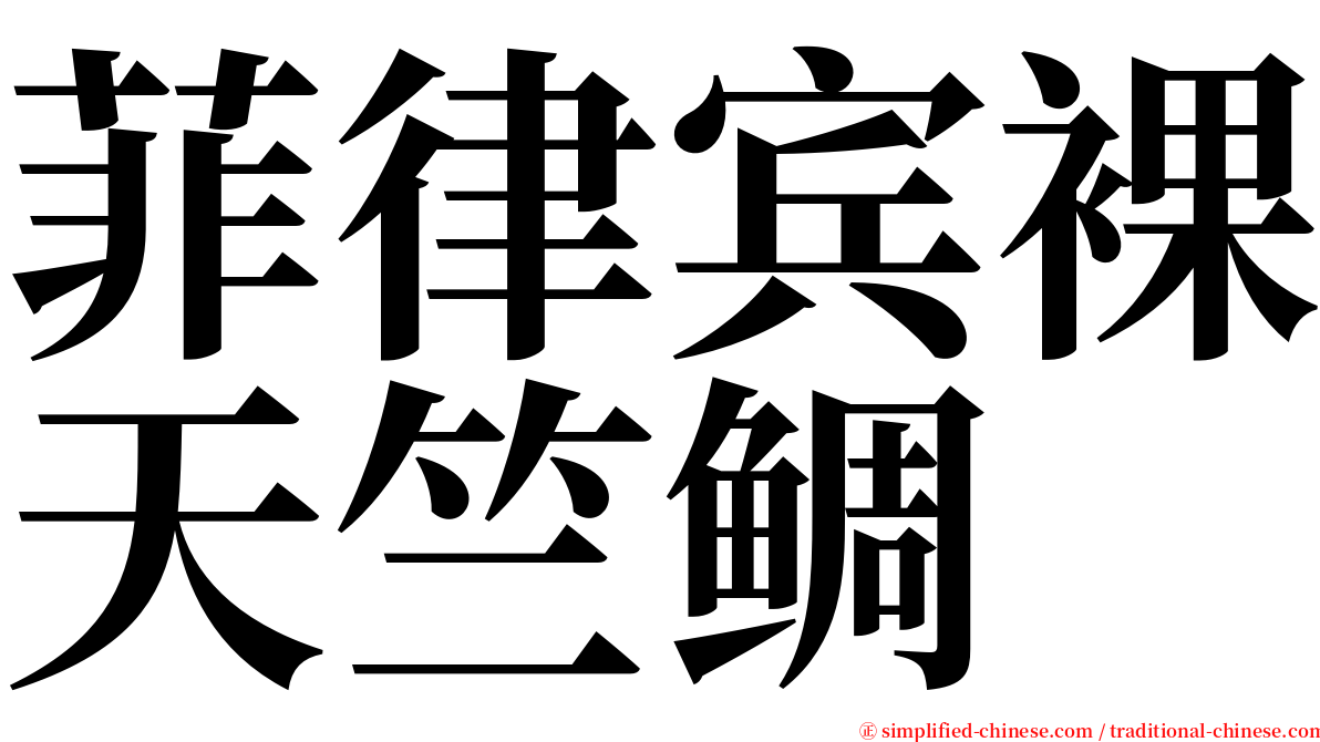 菲律宾裸天竺鲷 serif font