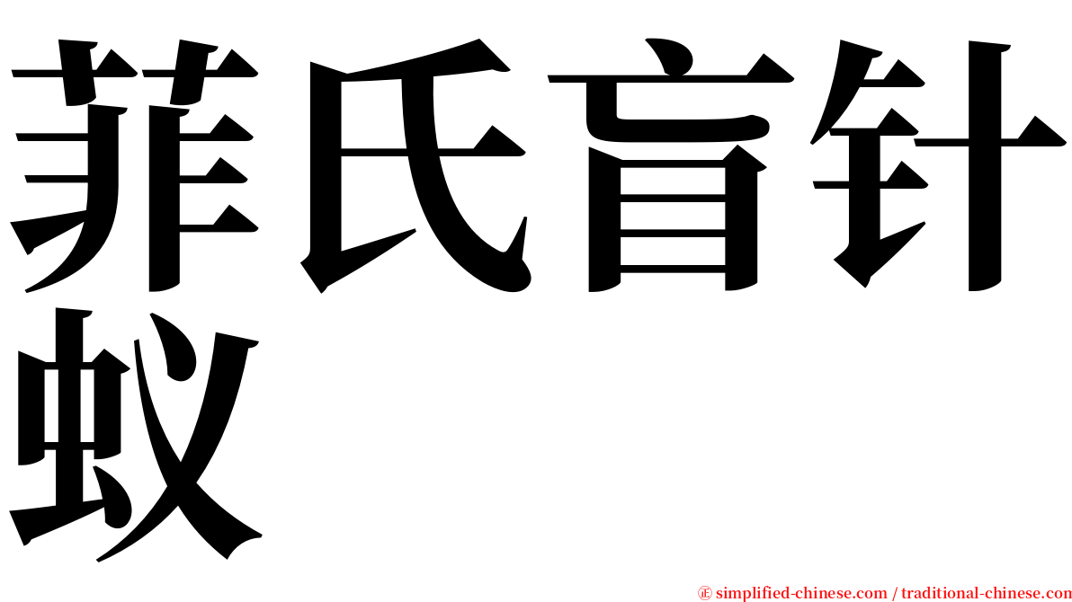 菲氏盲针蚁 serif font