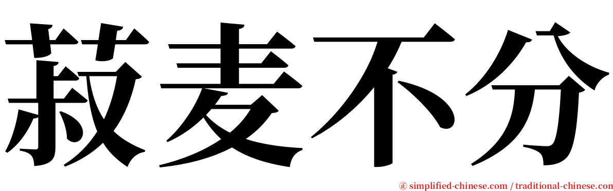 菽麦不分 serif font