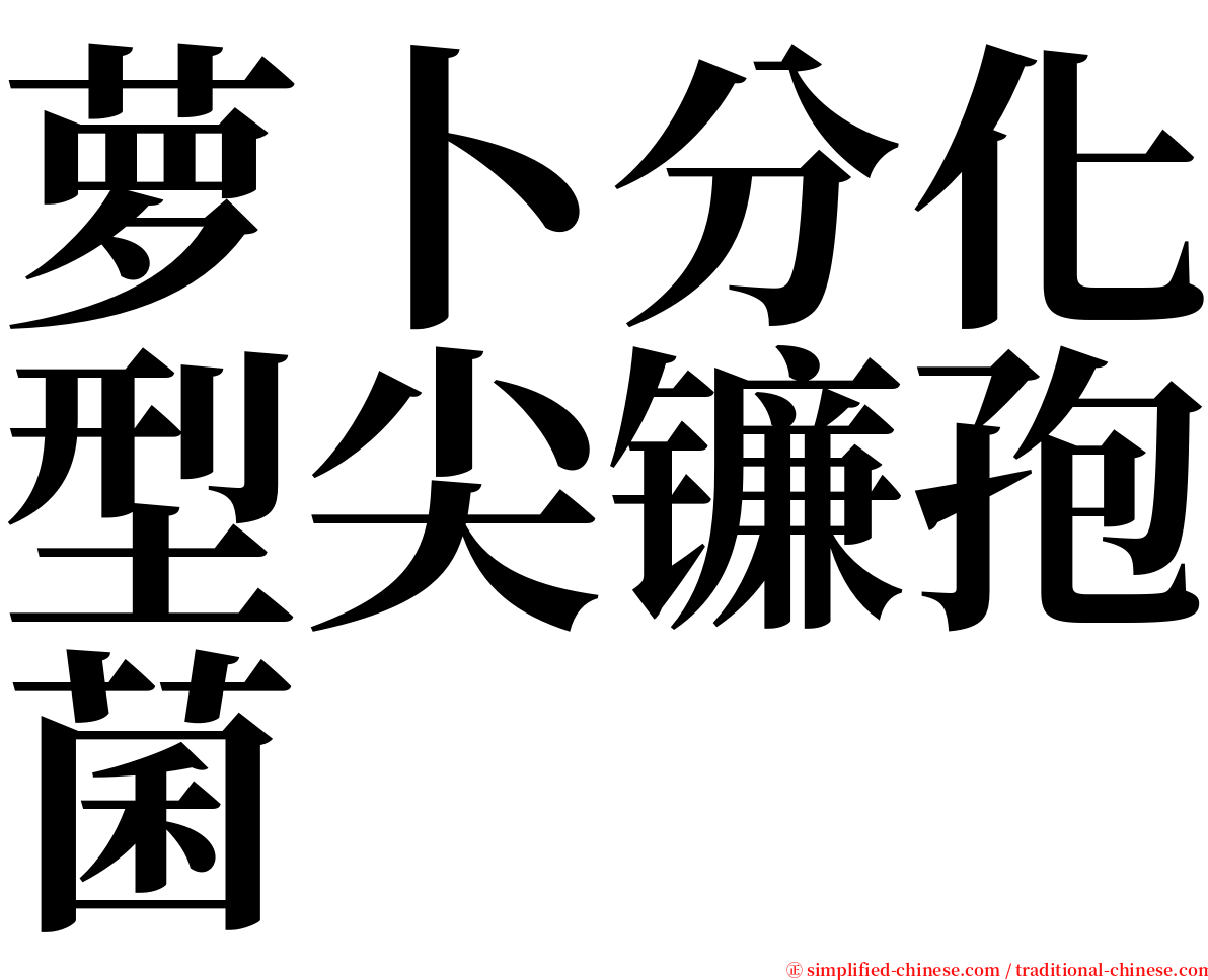 萝卜分化型尖镰孢菌 serif font