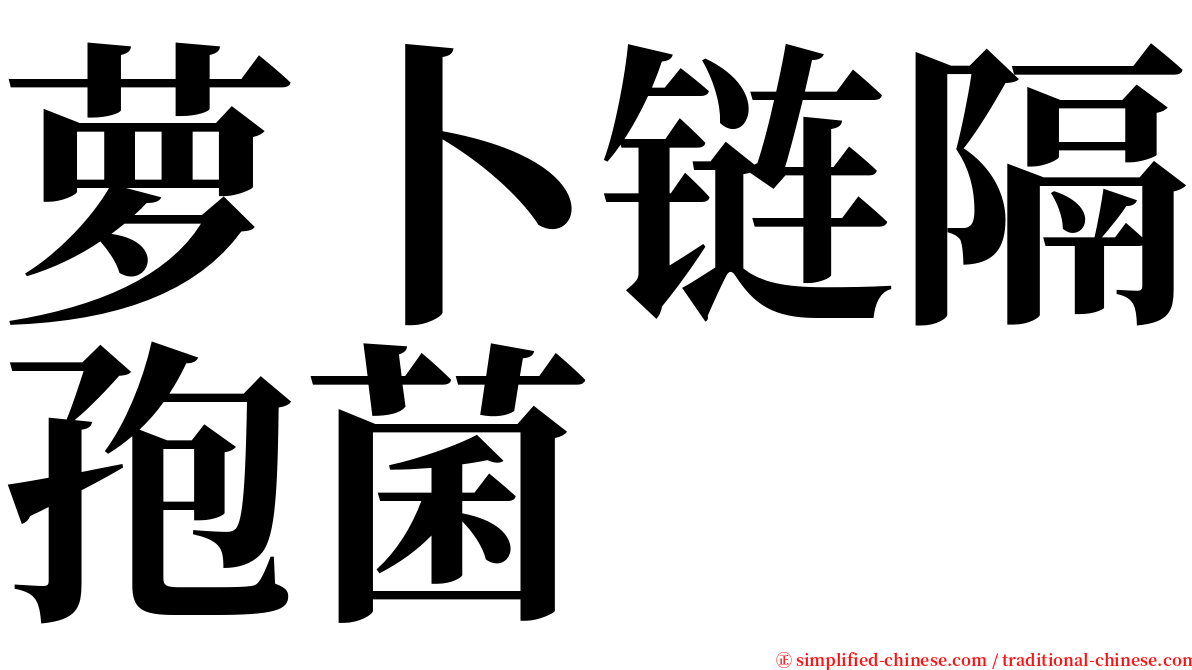 萝卜链隔孢菌 serif font