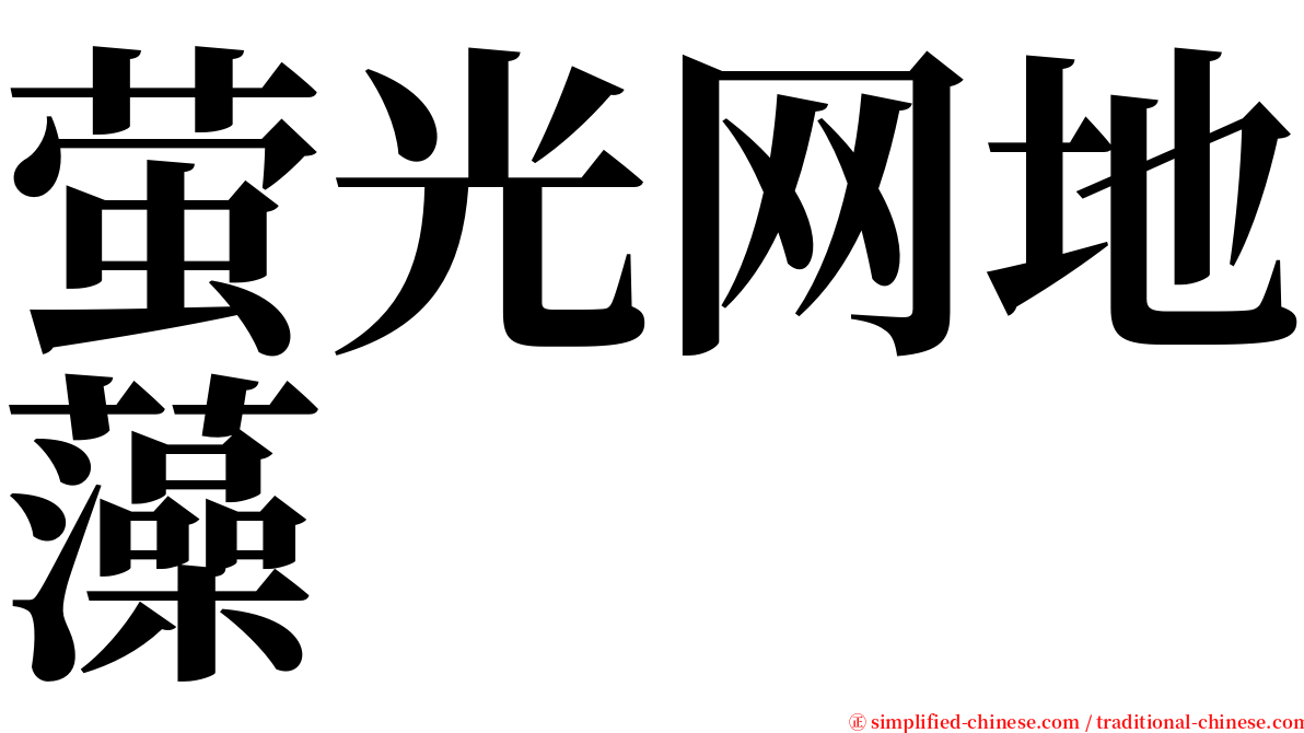 萤光网地藻 serif font